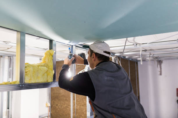 Types of Insulation We Offer in Parker, TX