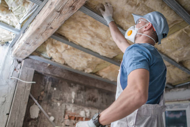 Best Cellulose Insulation in Parker, TX