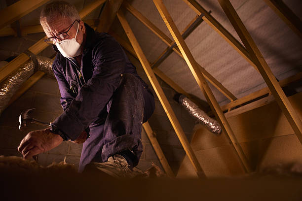 Best Geographic-Specific Insulation Services in Parker, TX